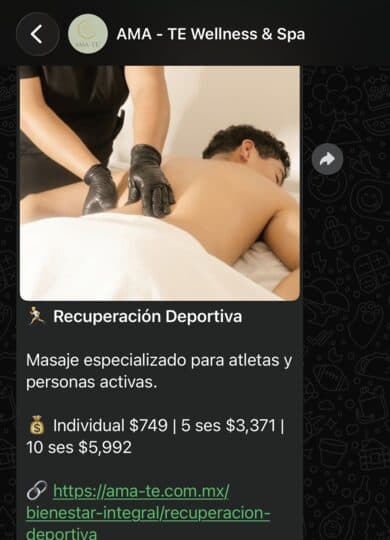 AMA-TE — Chatbot WhatsApp con IA